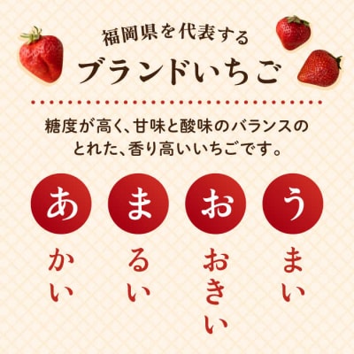 糸島産【冬】 あまおう 2パック 《糸島》【南国フルーツ株式会社】 [AIK007]