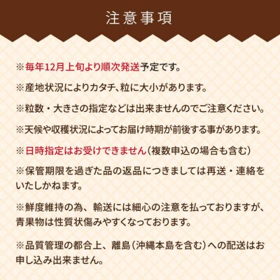 糸島産【冬】 あまおう 2パック 《糸島》【南国フルーツ株式会社】 [AIK007]