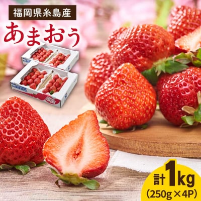 【先行受付】糸島産【春】 あまおう 4パック 【南国フルーツ株式会社】[AIK008]