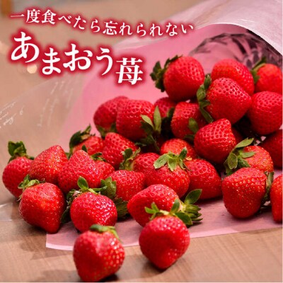 糸島産【春】 あまおう 4パック 【南国フルーツ株式会社】[AIK008]