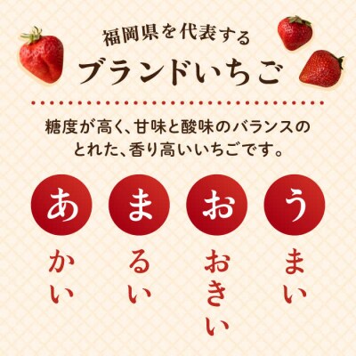 糸島産【春】 あまおう 4パック 【南国フルーツ株式会社】[AIK008]