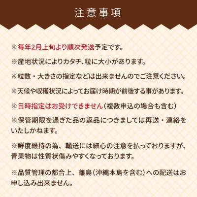 【先行受付】糸島産【春】 あまおう 4パック 【南国フルーツ株式会社】[AIK008]