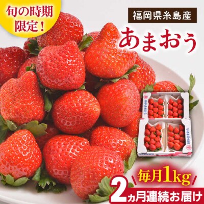 【全2回定期便】 糸島産【冬】あまおう4パック 毎月計1kg/南国フルーツ株式会社 [AIK024]