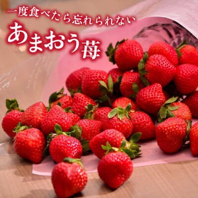 【全2回定期便】 糸島産【冬】あまおう4パック 毎月計1kg/南国フルーツ株式会社 [AIK024]