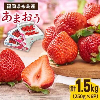 糸島産【春】 あまおう 6パック 【南国フルーツ株式会社】 [AIK009]