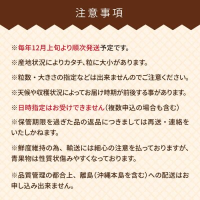 糸島産 あまおう ギフト 箱 ( 12-15粒 ) 【南国フルーツ株式会社】[AIK010]