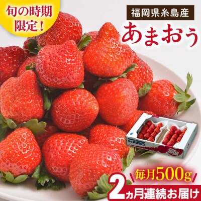 【全2回定期便】糸島産【冬】あまおう2パック 毎月計500g /南国フルーツ株式会社[AIK025]