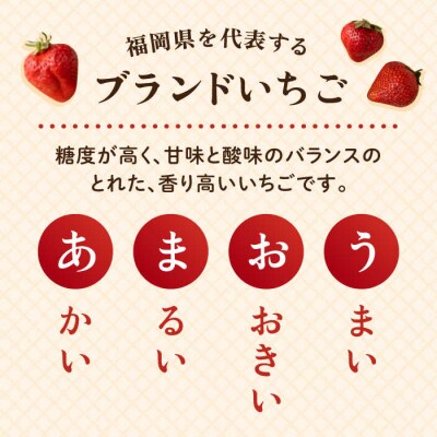 【全2回定期便】糸島産【冬】あまおう2パック 毎月計500g /南国フルーツ株式会社[AIK025]