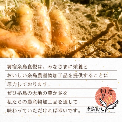 糸島ゴールデンウコン 粉末 100g 糸島市 / 翼宿糸島食悦 [AJO001]