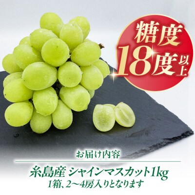 糸島産 シャインマスカット 1kg(2～4房) 糸島市 / [AVI006]