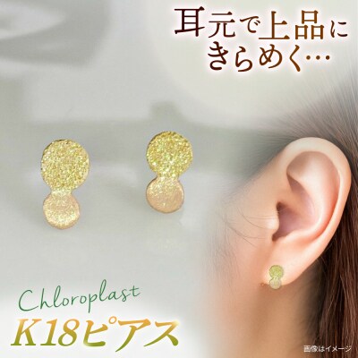 K18 まる ピアス ダイヤタガネ 糸島市 / Chloroplast / [ALF013]