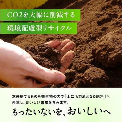 【糖度18度以上】糸島産シャインマスカット2kg / 和饗エコファーム [AVI007]