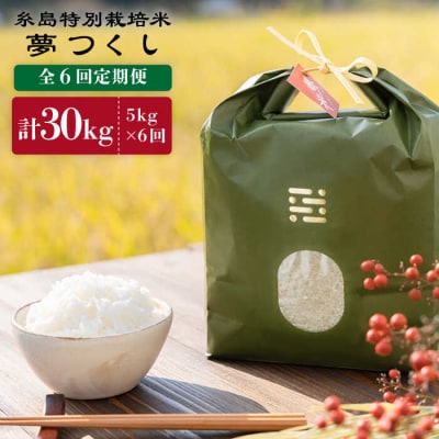 【全6回定期便】糸島特別栽培米5kg(夢つくし)itoshimacco[ARJ007]