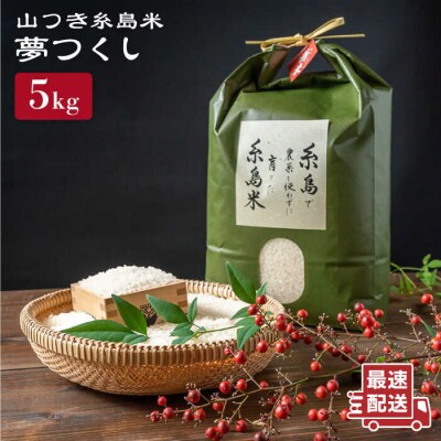糸島で育てた山つき糸島米5kg(夢つくし) 糸島市/itoshimacco[ARJ014]