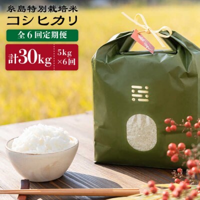 【全6回定期便】糸島特別栽培米5kgコシヒカリitoshimacco[ARJ006]