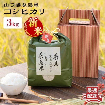 糸島で育てた山つき糸島米3kg(コシヒカリ) 糸島市/itoshimacco[ARJ009]