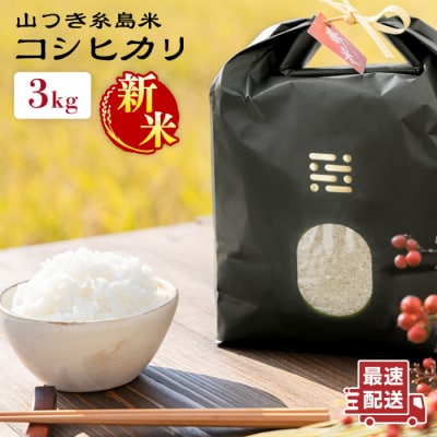 糸島で育てた山つき糸島米3kg(コシヒカリ) 糸島市/itoshimacco[ARJ009]