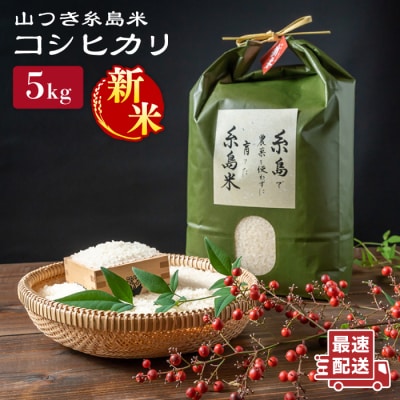 糸島で育てた山つき糸島米5kg(コシヒカリ) 糸島市/itoshimacco[ARJ015]