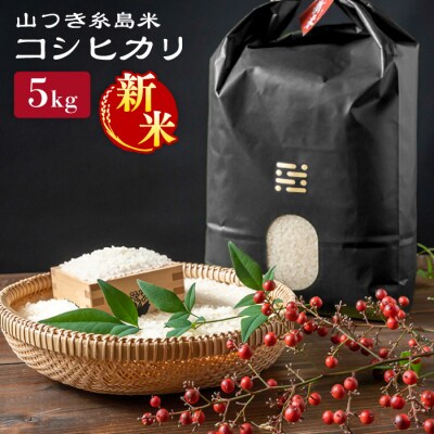 糸島で育てた山つき糸島米5kg(コシヒカリ) 糸島市/itoshimacco[ARJ015]