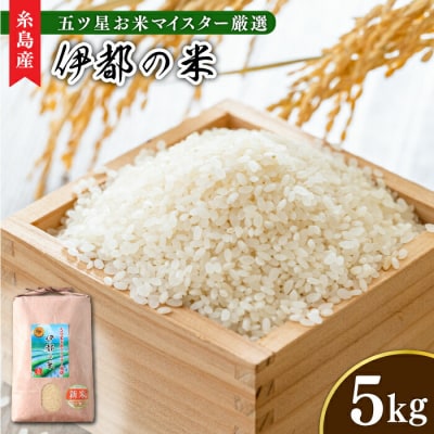 【令和6年産】伊都の米 5kg  糸島市/納富米穀店 [ARL001] 白米 お米
