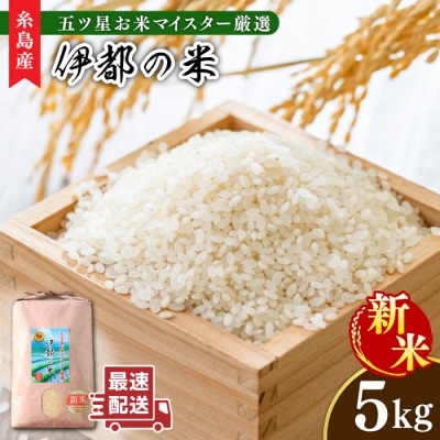 【年内発送】【令和7年産新米】伊都の米 5kg  糸島市/納富米穀店 [ARL001] 白米 お米