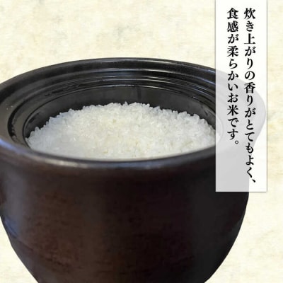 【年内発送】【令和7年産新米】伊都の米 5kg  糸島市/納富米穀店 [ARL001] 白米 お米