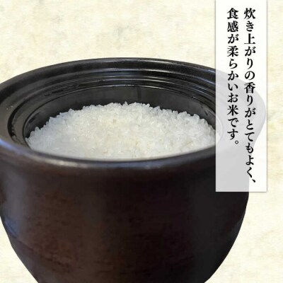 伊都の米 5kg  糸島市/米屋納富 [ARL001] 白米 お米