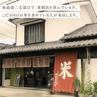 伊都の米 5kg  糸島市/米屋納富 [ARL001] 白米 お米