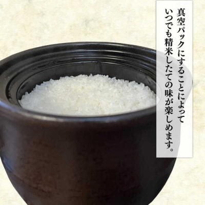 【令和6年産】糸島のお米食べくらべ真空パック計5kg(1kg×5パック)納富米穀店[ARL002]