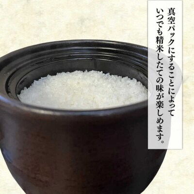 【令和7年産】糸島のお米食べくらべ真空パック計10kg(2kg×5パック)納富米穀店[ARL003]