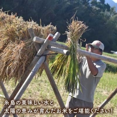 糸島産餅米1kg自然栽培天日干し 糸島市/大石ファームもち米餅[ATE041]