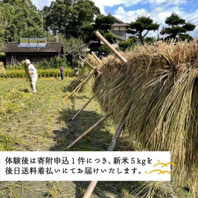 お米づくり 体験チケット 糸島市/天然パン工房楽楽【いとしまごころ】 [AVC065] 