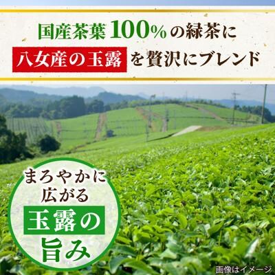 【全3回定期便】八女玉露入り緑茶500ml×24本 スターナイン お茶[ARM015]