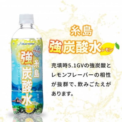 【全12回定期便】強炭酸水レモン500ml×24本 スターナイン 炭酸水[ARM014]
