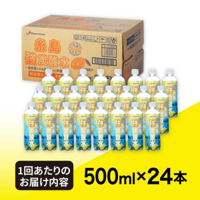 【全12回定期便】強炭酸水レモン500ml×24本 スターナイン 炭酸水[ARM014]