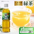 【全6回定期便】八女玉露入り緑茶500ml×24本 スターナインお茶ペットボトル[ARM016]