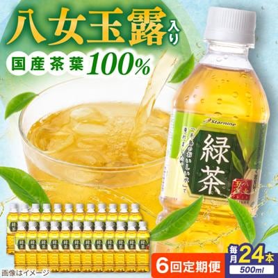 【全6回定期便】八女玉露入り緑茶500ml×24本 スターナインお茶ペットボトル[ARM016]