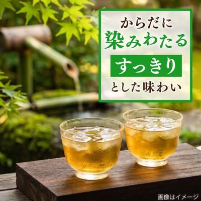 【全6回定期便】八女玉露入り緑茶500ml×24本 スターナインお茶ペットボトル[ARM016]