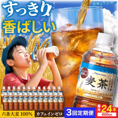 【全3回定期便】麦茶600ml×24本 スターナイン お茶 ペットボトル[ARM018]