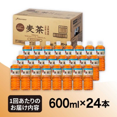 【全3回定期便】麦茶600ml×24本 スターナイン お茶 ペットボトル[ARM018]