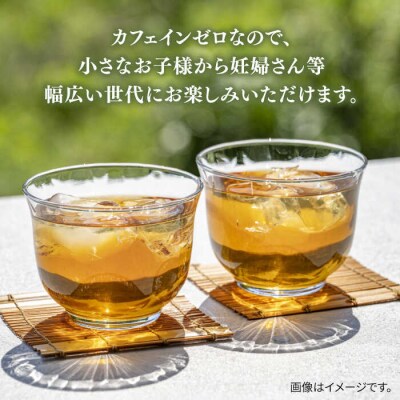 【全6回定期便】麦茶600ml×24本 スターナイン お茶 ペットボトル[ARM019]