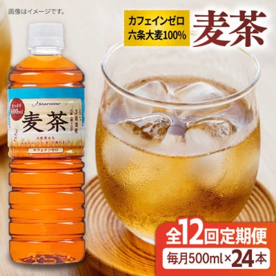 【全12回定期便】麦茶600ml×24本 スターナイン お茶 ペットボトル[ARM020]