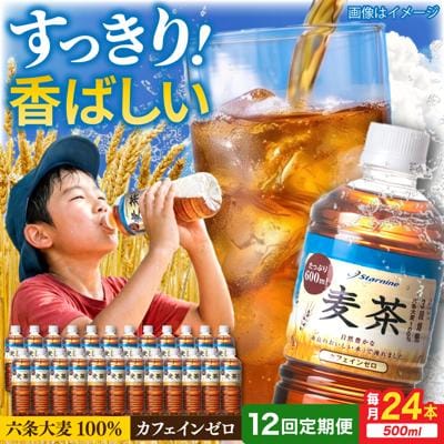 【全12回定期便】麦茶600ml×24本 スターナイン お茶 ペットボトル[ARM020]
