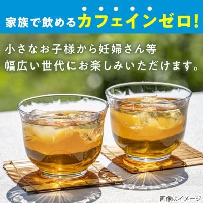【全12回定期便】麦茶600ml×24本 スターナイン お茶 ペットボトル[ARM020]