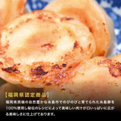 元祖・糸島豚籠包18個入り(6個×3箱) 糸島市/食工房たまひろ[ASA003]