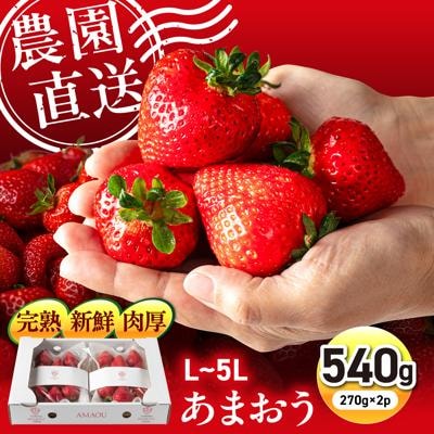 糸島の美味いあまおう270g×2パック(A品B品含むL～5L)磯本農園TANNAL[ATB003]