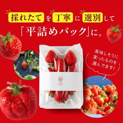 糸島の美味いあまおう270g×2パック(A品B品含むL～5L)磯本農園TANNAL[ATB003]