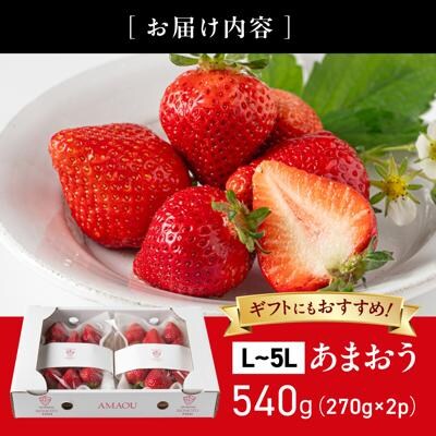 糸島の美味いあまおう270g×2パック(A品B品含むL～5L)磯本農園TANNAL[ATB003]