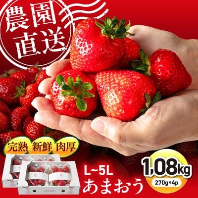糸島の美味いあまおう270g×4パック(A品B品含むL～5L磯本農園/TANNAL[ATB004]