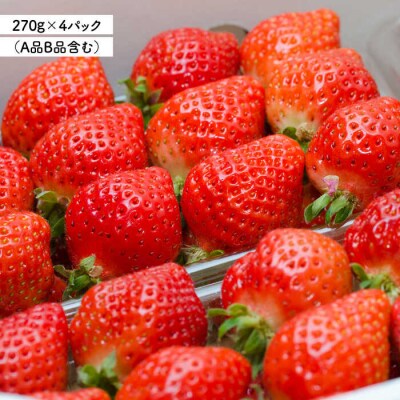 糸島の美味いあまおう270g×4パック(A品B品含むS～5L磯本農園/TANNAL[ATB004]